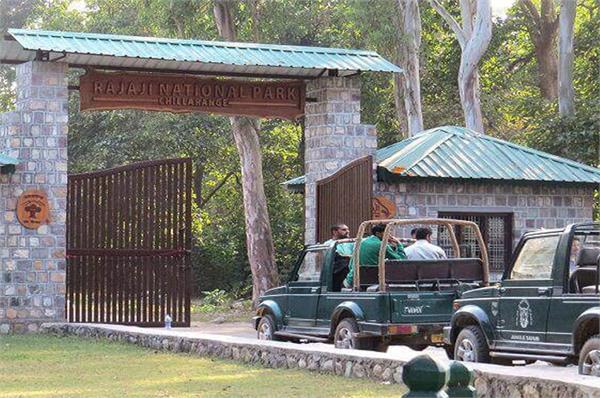 jungle safari  supreme court  mobile phones  ban