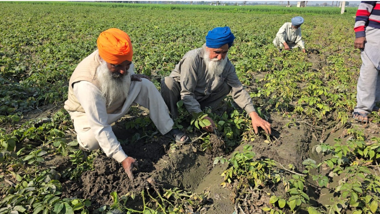 ਕਿਸਾਨਾਂ ''ਤੇ ਕੁਦਰਤ ਦੀ ਮਾਰ! ਆਲੂ ਦੀ 90% ਫ਼ਸਲ ਖ਼ਰਾਬ, ਲੱਖਾਂ ਰੁਪਏ ਦਾ ਨੁਕਸਾਨ
