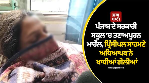 punjab government school  punjabi lecturer