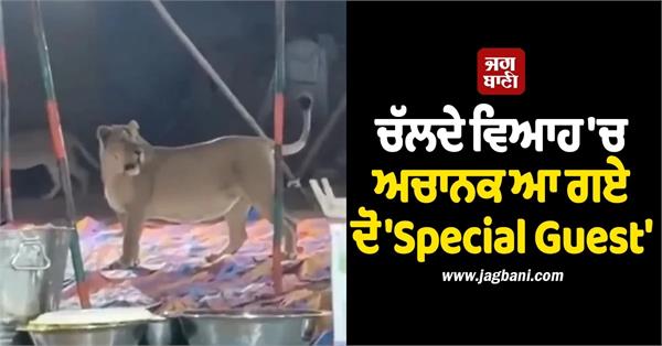 special guest arrive at wedding venue