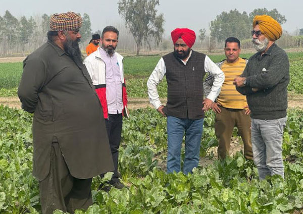 ਗੰਨੇ ਦੀ ਫ਼ਸਲ ਤੋਂ ਵਧੇਰੇ ਆਮਦਨ ਲੈਣ ਲਈ ਅੰਤਰ-ਫ਼ਸਲੀ ਪ੍ਰਣਾਲੀ ਅਪਣਾਉਣ ਦੀ ਜ਼ਰੂਰਤ: ਕੇਨ ਕਮਿਸ਼ਨਰ