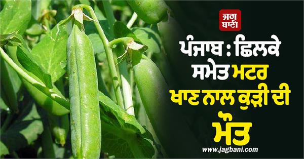 girl  peas  patiala