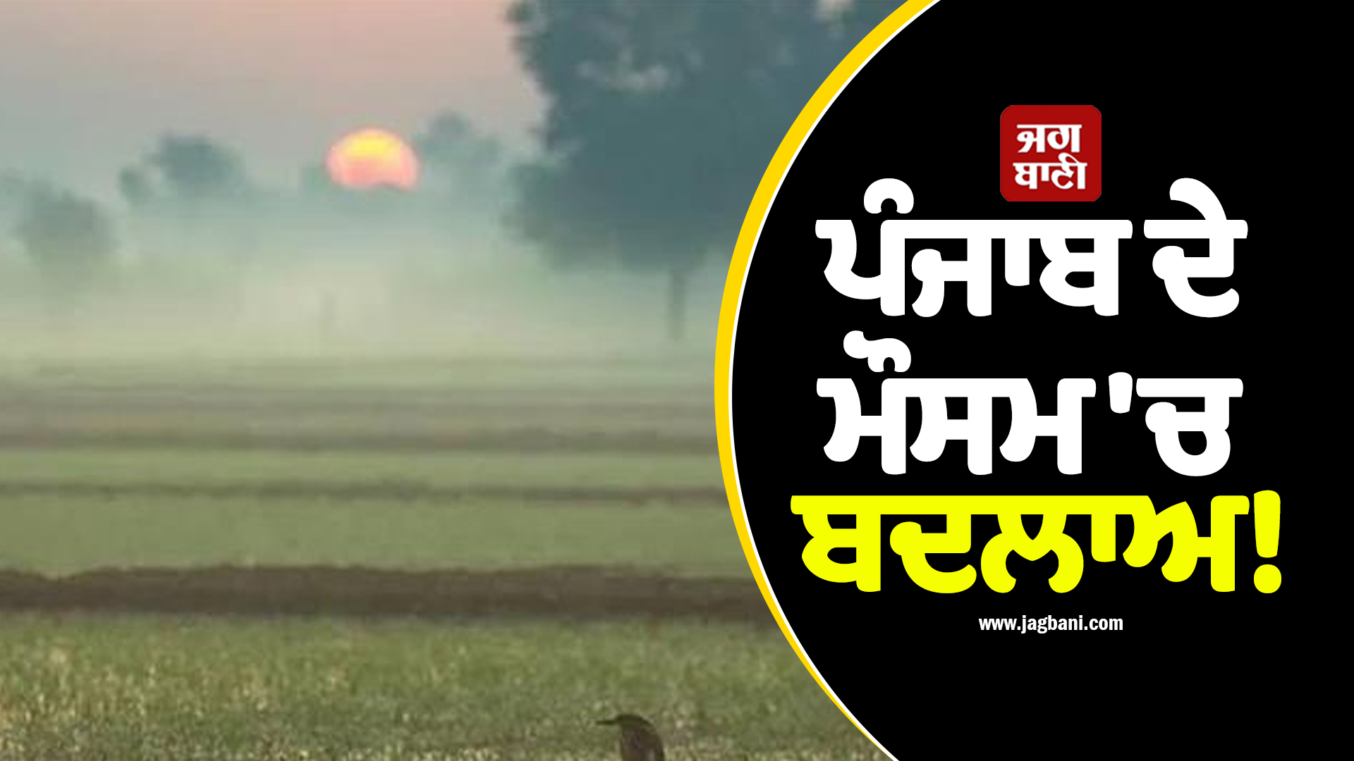 ਪੰਜਾਬ ਦੇ ਮੌਸਮ 'ਚ ਬਦਲਾਅ! 13 ਫਰਵਰੀ ਤੱਕ ਵਿਭਾਗ ਦੀ ਵੱਡੀ ਭਵਿੱਖਬਾਣੀ, ਬਾਰਿਸ਼ ਨੂੰ ਲੈ ਕੇ ਦਿੱਤੇ ਇਹ ਸੰਕੇਤ