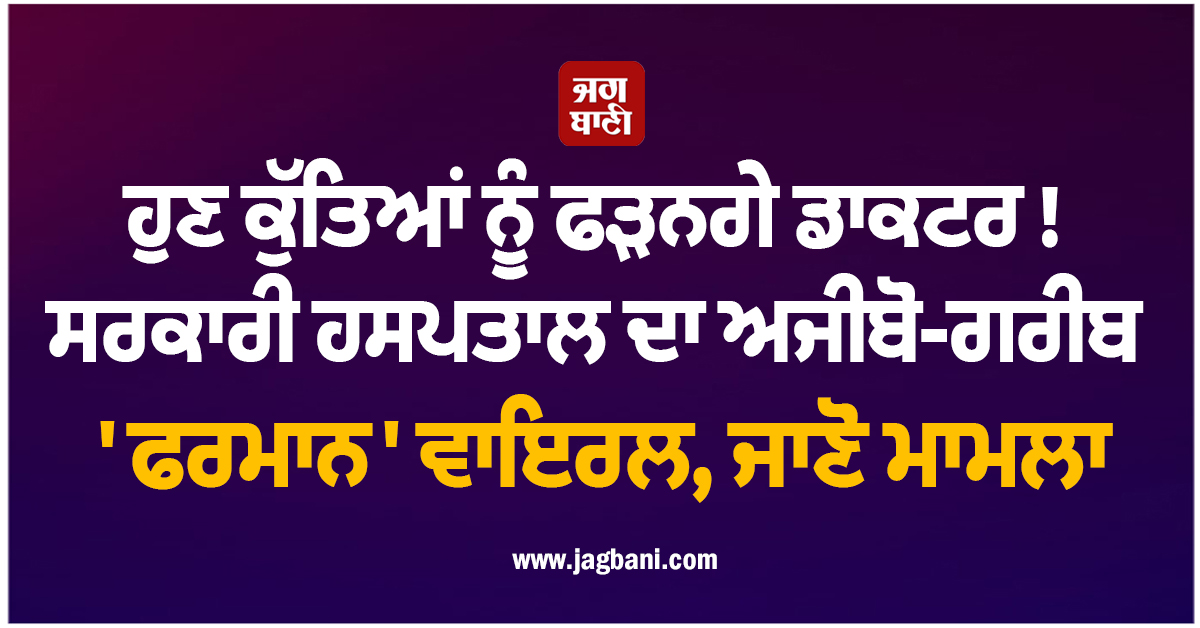 ਹੁਣ ਕੁੱਤਿਆਂ ਨੂੰ ਫੜਨਗੇ ਡਾਕਟਰ ! ਸਰਕਾਰੀ ਹਸਪਤਾਲ ਦਾ ਅਜੀਬੋ-ਗਰੀਬ ''ਫਰਮਾਨ'' ਵਾਇਰਲ, ਜਾਣੋ ਮਾਮਲਾ