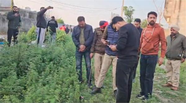 panic spreads after head found in surya enclave of jalandhar