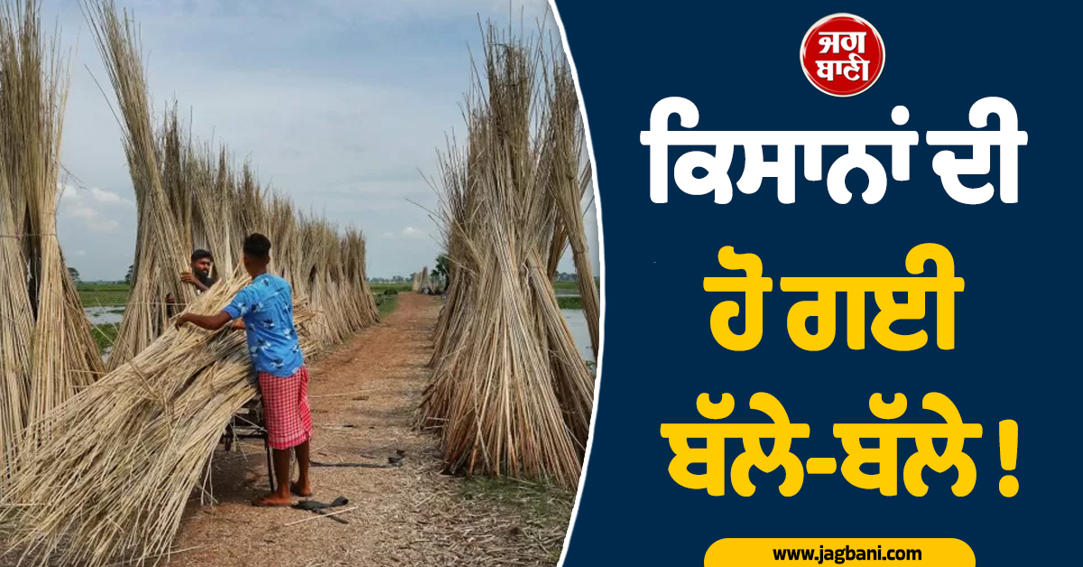 ਕਿਸਾਨਾਂ ਦੀ ਹੋ ਗਈ ਬੱਲੇ-ਬੱਲੇ ! ਕੇਂਦਰ ਸਰਕਾਰ ਨੇ ਦਿੱਤਾ ਵੱਡਾ ਤੋਹਫ਼ਾ, MSP ''ਤੇ ਕਰ''ਤਾ ਇਹ ਐਲਾਨ