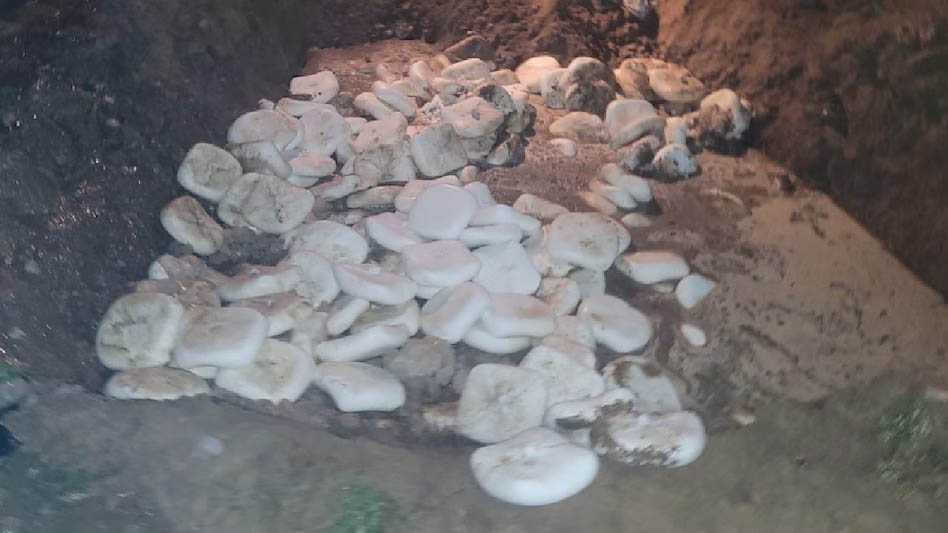 ਹੋਲੀ ਪਹਿਲਾਂ ਮਿਲਾਵਟਖੋਰਾਂ ''ਤੇ ਵੱਡੀ ਕਾਰਵਾਈ, UP ''ਚ 2500 ਕਿਲੋ ਨਕਲੀ ਪਨੀਰ ਜ਼ਬਤ