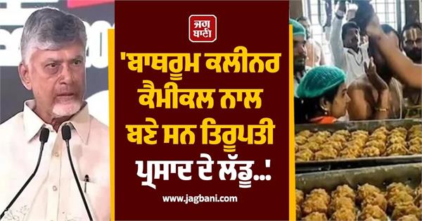 the laddus offered as prasad at tirupati