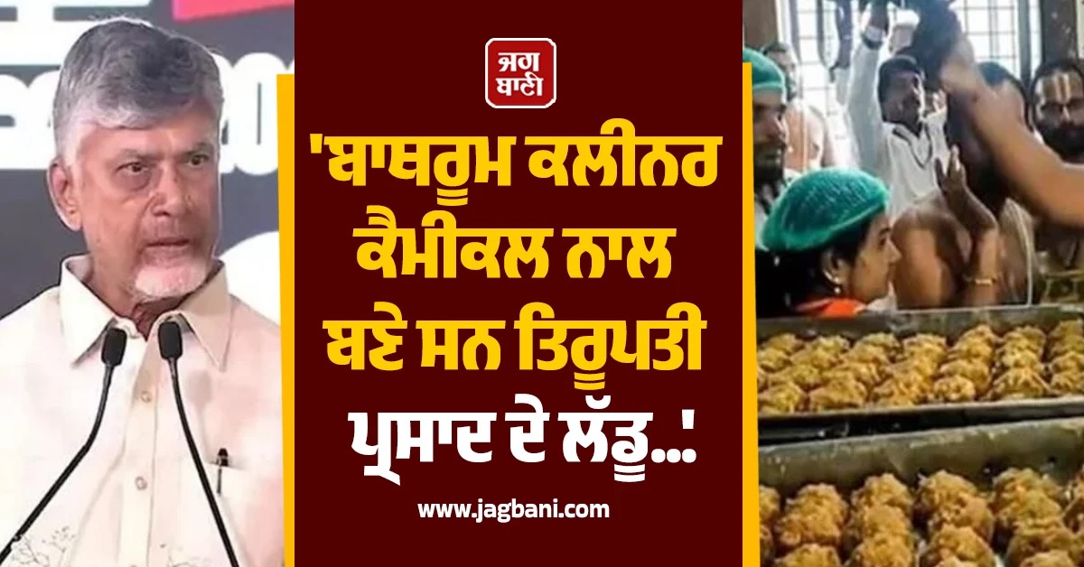 ਬਾਥਰੂਮ ਕਲੀਨਰ ਕੈਮੀਕਲ ਨਾਲ ਬਣੇ ਸਨ ਤਿਰੂਪਤੀ ਪ੍ਰਸਾਦ ਦੇ ਲੱਡੂ, CM ਨਾਇਡੂ ਦਾ ਦਾਅਵਾ