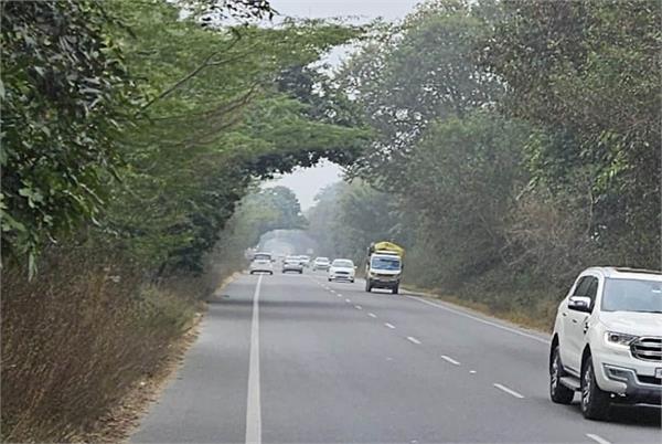 increased risk of accidents due to fallen trees on roadsides