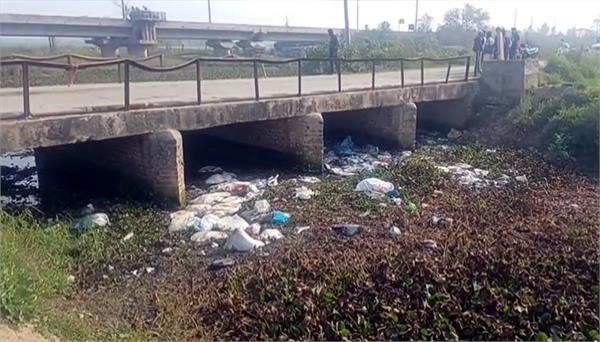 bags full of cow meat found in sirhind choy