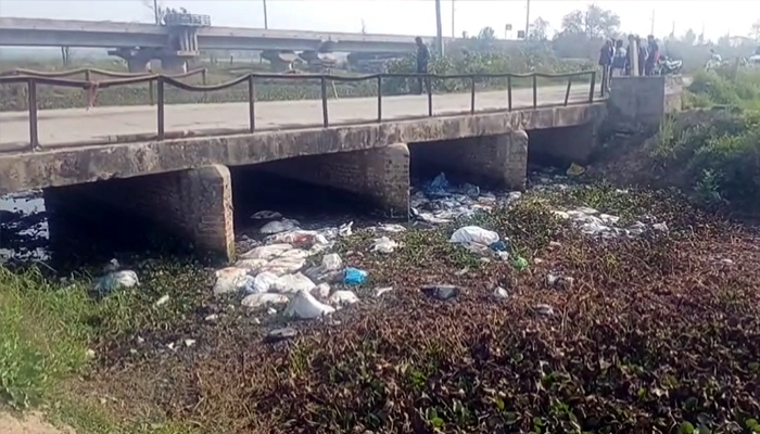 ਸਰਹੰਦ ਚੋਏ ''ਚੋਂ ਮਿਲੇ ਗਉ ਮਾਸ ਦੇ ਭਰੇ ਹੋਏ ਥੈਲੇ, ਪੁਲਿਸ ਕਰ ਰਹੀ ਹੈ ਮਾਮਲੇ ਦੀ ਜਾਂਚ