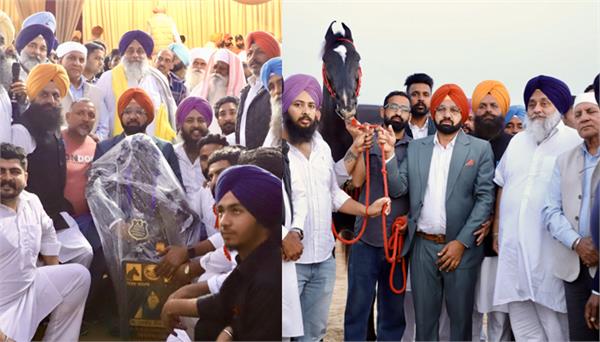we will organize marwari horse races when akali dal government comes in 2027