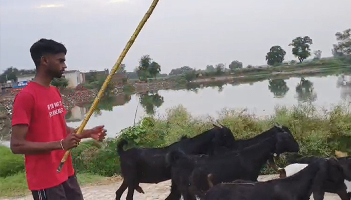 ਬੱਕਰੀਆਂ ਚਾਰਨ ਵਾਲੇ ਨੇ ਮੁੜ ਰਚਿਆ ਇਤਿਹਾਸ, JRF ਪ੍ਰੀਖਿਆ ’ਚ ਦੇਸ਼ ਭਰ ’ਚੋਂ ਪ੍ਰਾਪਤ ਕੀਤਾ 6ਵਾਂ ਰੈਂਕ