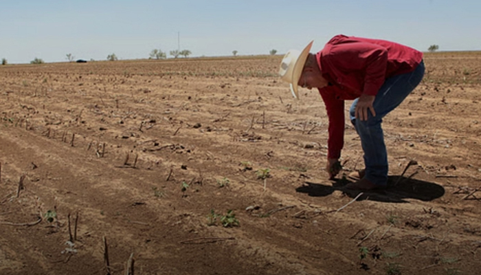 ਦੁਨੀਆ ''ਚ ‘ਅੰਨ ਦਾ ਸੰਕਟ’: ਹੋਰਮੁਜ਼ ਵਿਵਾਦ ਕਾਰਨ ਖਾਦ ਸਪਲਾਈ ਠੱਪ, ਭਾਰਤ ਸਣੇ ਕਈ ਦੇਸ਼ਾਂ ''ਚ ਹਾਹਾਕਾਰ