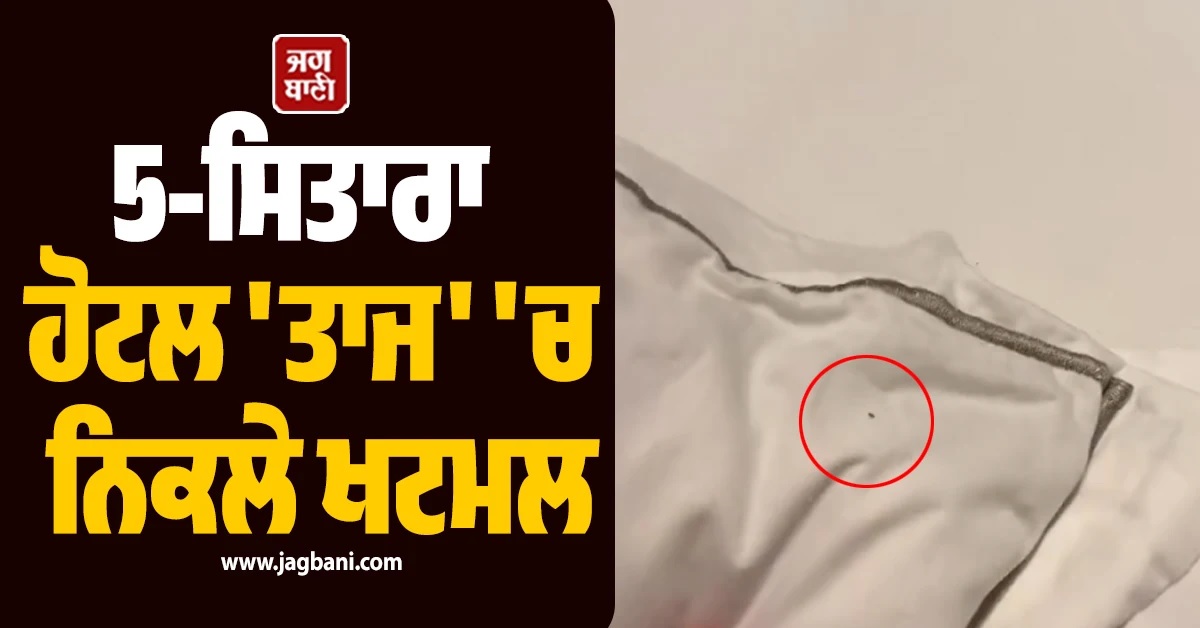 18000 ਰੁਪਏ ਦਾ ਕਮਰਾ ਤੇ ਬੈੱਡ ''ਤੇ ਖਟਮਲ! 5-Star ਹੋਟਲ ਦੀ ਵਾਇਰਲ ਵੀਡੀਓ ਦੇਖ ਰਹਿ ਜਾਓਗੇ ਹੈਰਾਨ