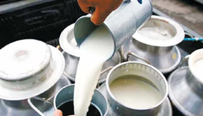 ਆਂਧਰਾ ਪ੍ਰਦੇਸ਼: ਮਿਲਾਵਟੀ ਦੁੱਧ ਪੀਣ ਨਾਲ 12 ਲੋਕਾਂ ਦੀ ਮੌਤ, 8 ਹਸਪਤਾਲ ''ਚ ਦਾਖ਼ਲ