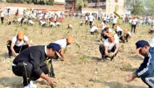 varanasi sets world record by planting over 2 51 lakh saplings in one hour