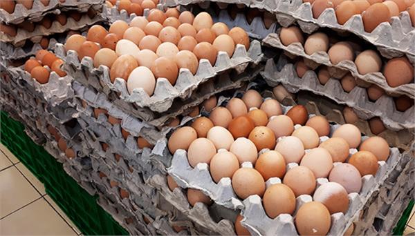 poultry industry in crisis due to middle east tension