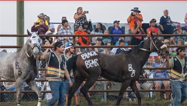 saskatchewan indian relay team prepares for calgary stampede