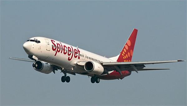 spicejet operates more than 100 flights from uae to india