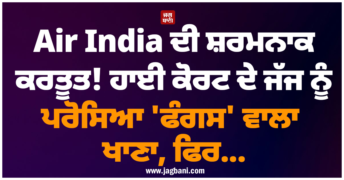 Air India ਦੀ ਸ਼ਰਮਨਾਕ ਕਰਤੂਤ! ਹਾਈ ਕੋਰਟ ਦੇ ਜੱਜ ਨੂੰ ਪਰੋਸਿਆ ''ਫੰਗਸ'' ਵਾਲਾ ਖਾਣਾ, ਫਿਰ...