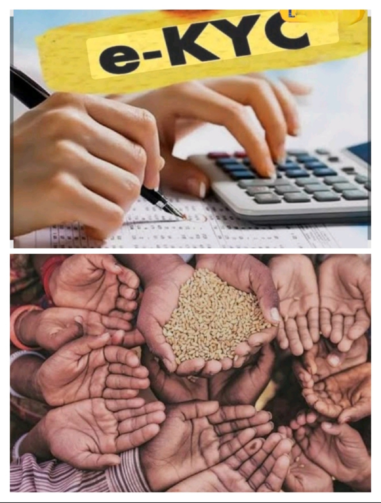 ਹੁਣ e-KYC ਨਾ ਕਰਵਾਉਣ ਵਾਲੇ 20,69,338 ਲੋਕਾਂ ਨੂੰ ਨਹੀਂ ਮਿਲੇਗਾ ਮੁਫ਼ਤ ਅਨਾਜ ਦਾ ਲਾਭ