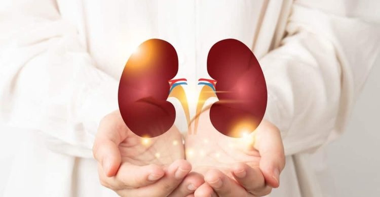 ਕਿਡਨੀ ਫੇਲ੍ਹ ਹੋਣ ਵਾਲੇ ਮਰੀਜ਼ਾਂ ਲਈ ਨਵੀਂ ਉਮੀਦ: ਭਾਰਤ 'ਚ ਪਹਿਲੀ ਵਾਰ ਹੋਇਆ ਸਫਲ 'ਡਿਊਲ ਕਿਡਨੀ ਟ੍ਰਾਂਸਪਲਾਂਟ'