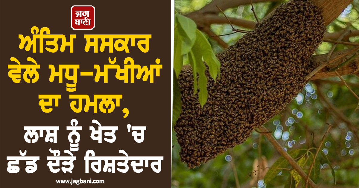 ਅੰਤਿਮ ਸਸਕਾਰ ਵੇਲੇ ਮਧੂ-ਮੱਖੀਆਂ ਦਾ ਹਮਲਾ, ਲਾਸ਼ ਨੂੰ ਖੇਤ ''ਚ ਛੱਡ ਦੌੜੇ ਰਿਸ਼ਤੇਦਾਰ, ਦੋ ਦਰਜਨ ਲੋਕ ਜ਼ਖ਼ਮੀ