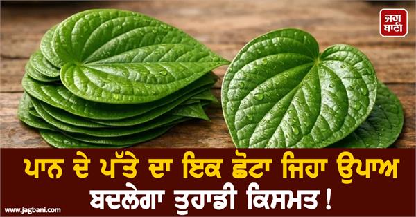 a betel leaf will change your destiny 