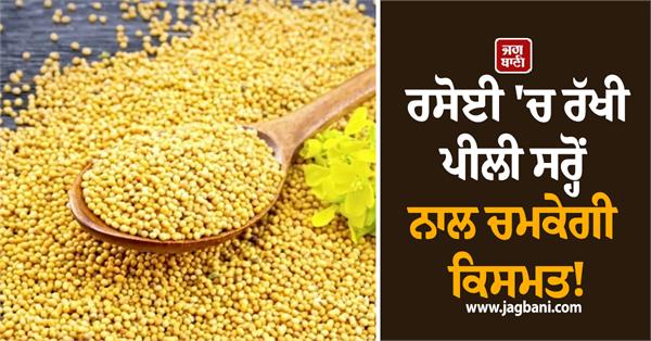 luck will shine with yellow mustard kept in the kitchen 