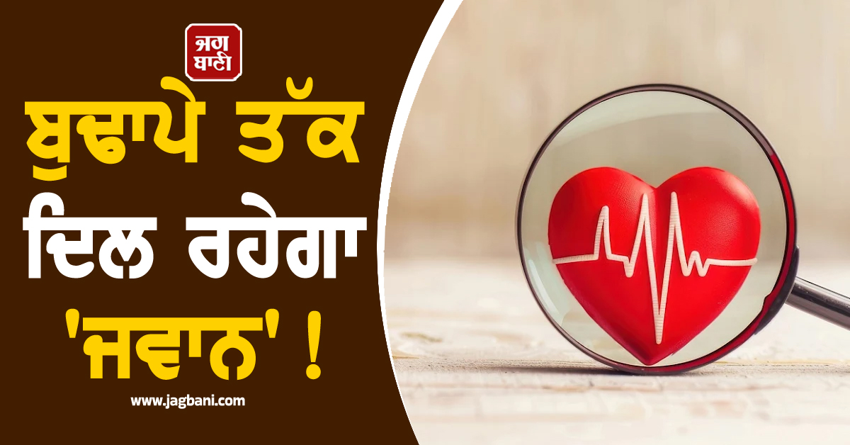 ਬੁਢਾਪੇ ਤੱਕ ਦਿਲ ਰਹੇਗਾ 'ਜਵਾਨ'! ਅੱਜ ਤੋਂ ਹੀ ਡਾਈਟ 'ਚ ਸ਼ਾਮਲ ਕਰੋ ਇਹ 5 ਸੁਪਰਫੂਡਜ਼