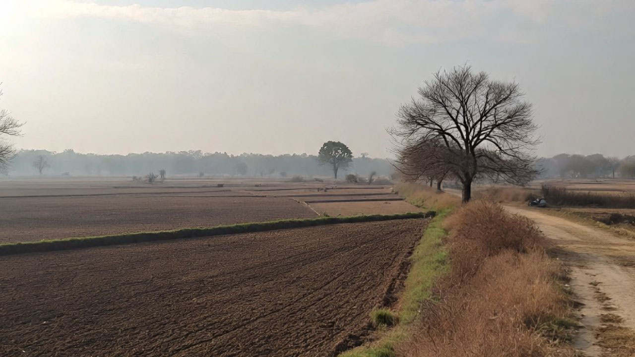 ਪੰਜਾਬ ''ਚ ਇਸ ਦਿਨ ਤੋਂ ਬਦਲ ਸਕਦੈ ਮੌਸਮ, ਫਿਰ ਤੋਂ ਡਿੱਗੇਗਾ ਤਾਪਮਾਨ, ਪੜ੍ਹੋ ਤਾਜ਼ਾ ਜਾਣਕਾਰੀ