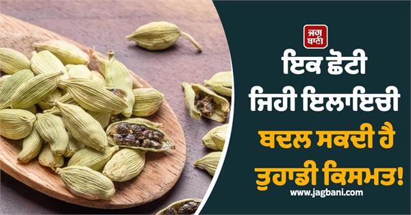 a small cardamom can change your destiny 