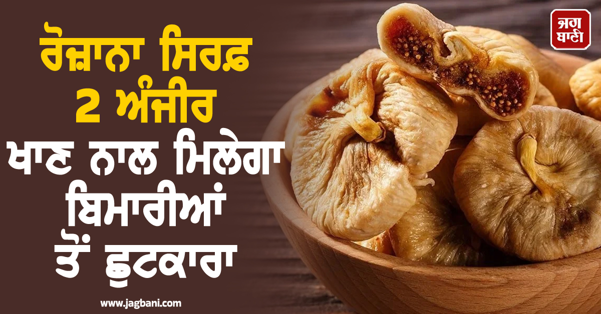 ਰੋਜ਼ਾਨਾ ਸਿਰਫ਼ 2 ਅੰਜੀਰ ਖਾਣ ਨਾਲ ਮਿਲੇਗਾ ਬਿਮਾਰੀਆਂ ਤੋਂ ਛੁਟਕਾਰਾ; ਜਾਣੋ ਇਸ 'ਜਾਦੂਈ ਫਲ' ਦੇ ਲਾਭ