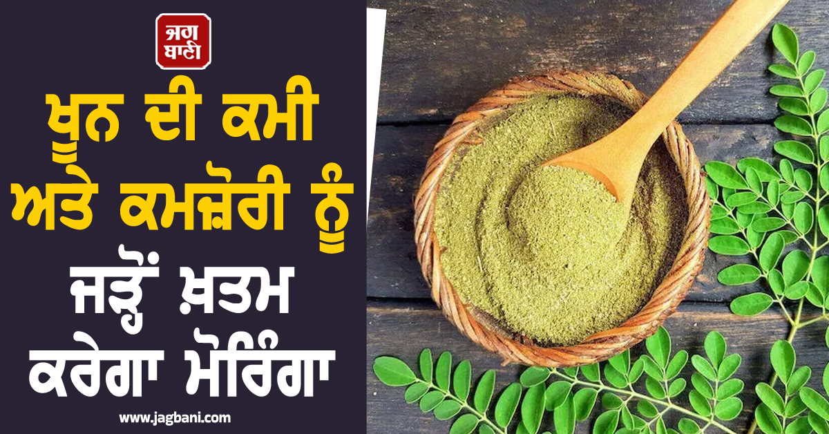 ਖੂਨ ਦੀ ਕਮੀ ਅਤੇ ਕਮਜ਼ੋਰੀ ਨੂੰ ਜੜ੍ਹੋਂ ਖ਼ਤਮ ਕਰੇਗਾ ਮੋਰਿੰਗਾ, ਜਾਣੋ ਇਸ ਦੇ ਪੱਤੇ ਖਾਣ ਦਾ ਸਹੀ ਤਰੀਕਾ