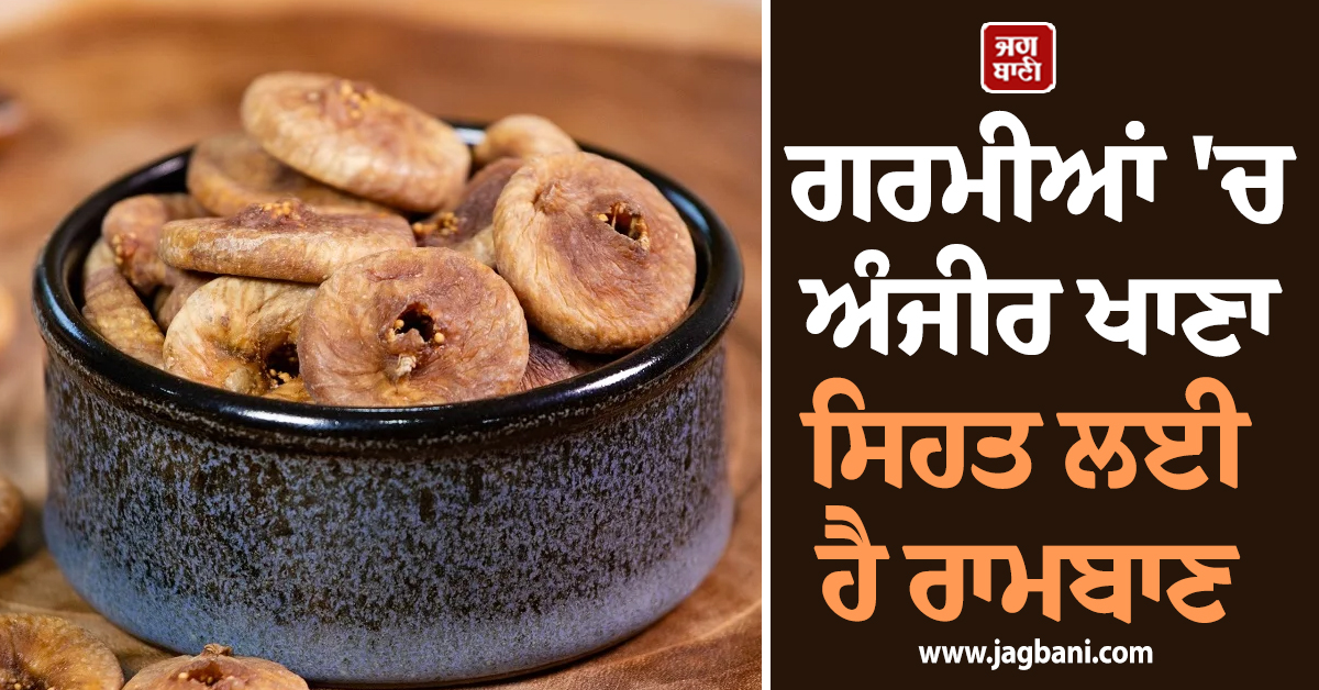 ਗਰਮੀਆਂ 'ਚ ਅੰਜੀਰ ਖਾਣਾ ਸਿਹਤ ਲਈ ਹੈ ਰਾਮਬਾਣ, ਬੱਸ ਖਾਣ ਵੇਲੇ ਨਾ ਕਰੋ ਇਹ ਗ਼ਲਤੀ