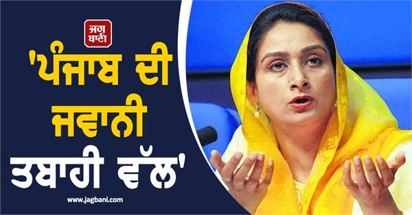 harsimrat badal held aap government responsible