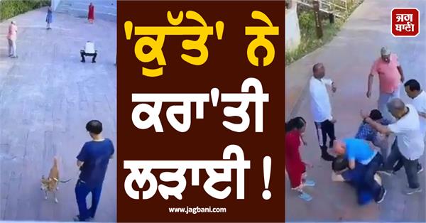 dog urine fighting exercise senior citizen beating