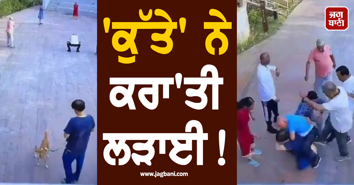 ''ਕੁੱਤੇ'' ਨੇ ਕਰਾ''ਤੀ ਲੜਾਈ ! ਕਸਰਤ ਕਰਦੇ ਲੋਕਾਂ ਨੇ ਕੁੱਟਿਆ ਨੌਜਵਾਨ, ਵੀਡੀਓ ਵਾਇਰਲ