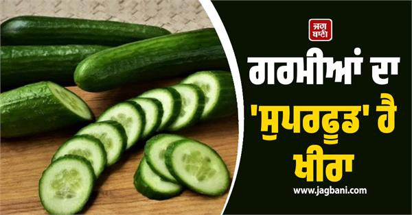 cucumber is the superfood of summer