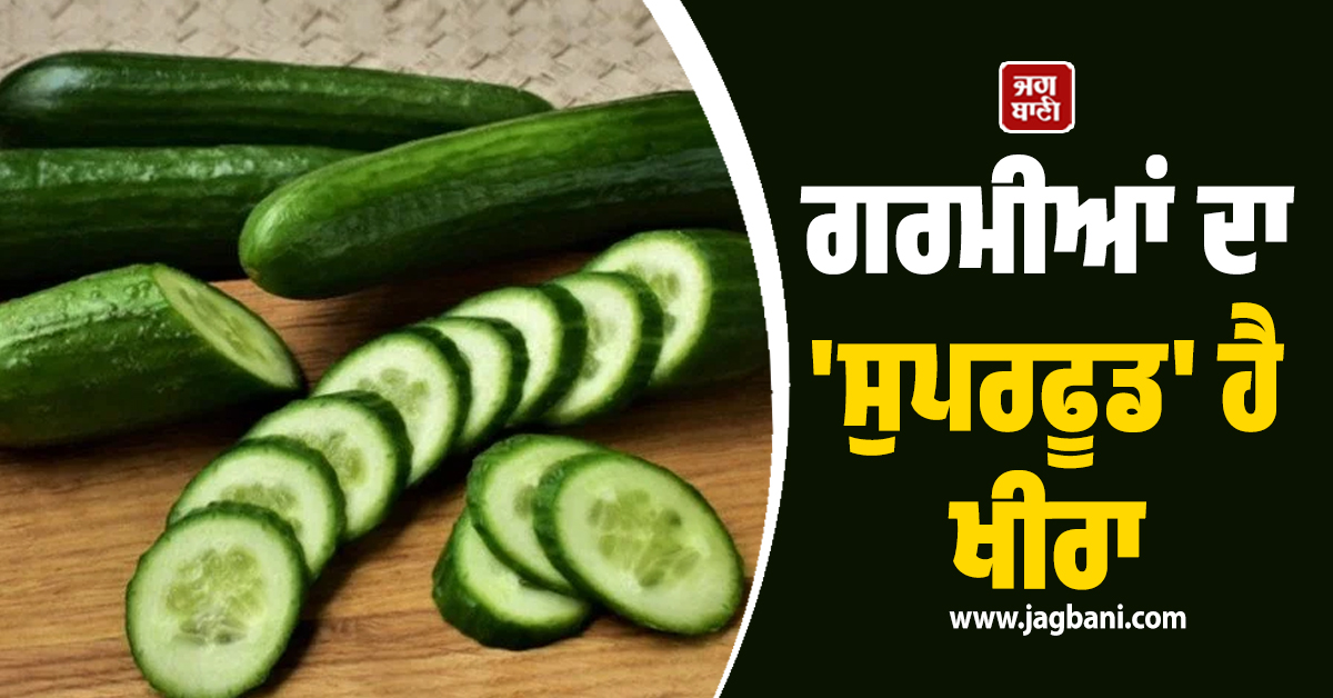 ਗਰਮੀਆਂ ਦਾ 'ਸੁਪਰਫੂਡ' ਹੈ ਖੀਰਾ: ਸਿਰਫ਼ ਪਾਣੀ ਦੀ ਕਮੀ ਹੀ ਨਹੀਂ, ਇਨ੍ਹਾਂ 5 ਗੰਭੀਰ ਬਿਮਾਰੀਆਂ ਨੂੰ ਵੀ ਰੱਖਦਾ ਹੈ ਦੂਰ