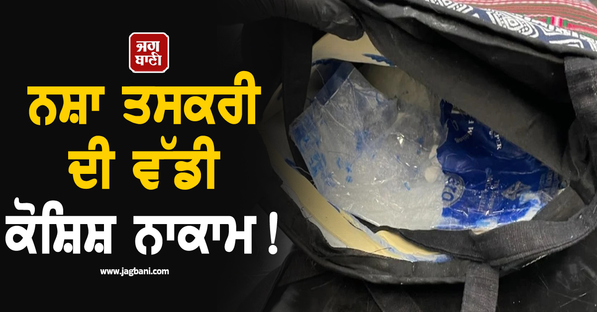 ਨਸ਼ਾ ਤਸਕਰੀ ਦੀ ਵੱਡੀ ਕੋਸ਼ਿਸ਼ ਨਾਕਾਮ! ਸਿਡਨੀ ਹਵਾਈ ਅੱਡੇ 'ਤੇ 20 ਕਿੱਲੋ ਹੈਰੋਇਨ ਬਰਾਮਦ