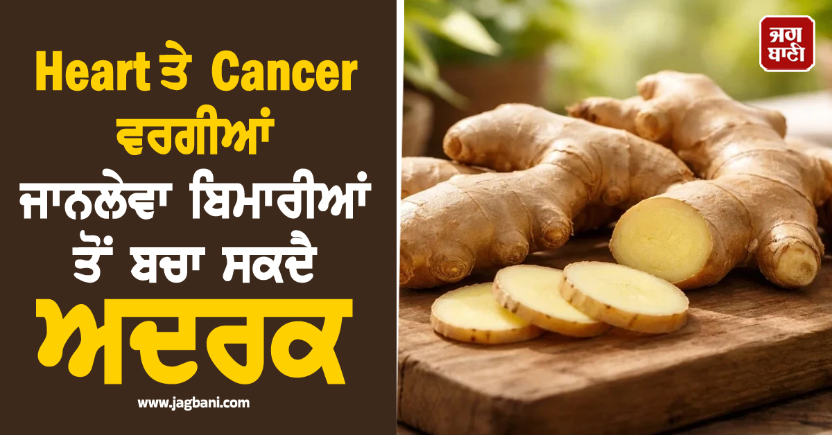 Heart ਤੇ cancer ਵਰਗੀਆਂ ਜਾਨਲੇਵਾ ਬਿਮਾਰੀਆਂ ਤੋਂ ਬਚਾ ਸਕਦੈ ਅਦਰਕ, ਜਾਣੋ ਖਾਣ ਦਾ ਸਹੀ ਤਰੀਕਾ