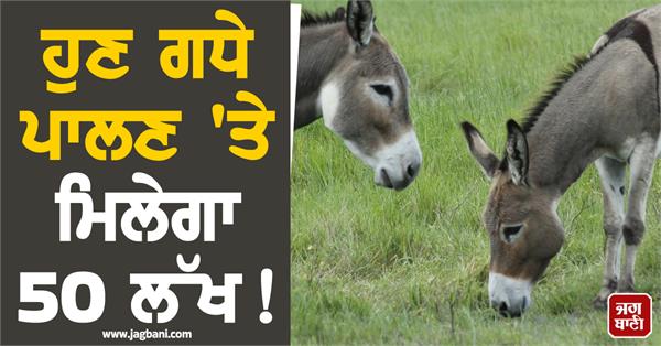 animal husbandry donkeys  horses 50 lakh subsidy
