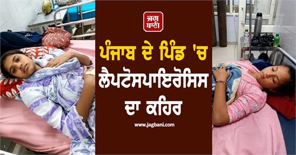 leptospirosis outbreak in punjab village