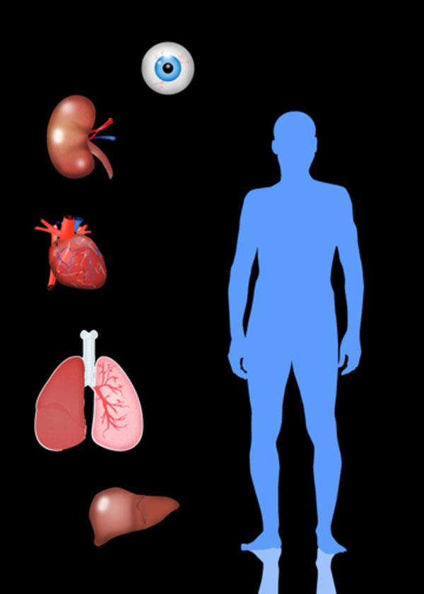 huge shortage of healthy organs for donation