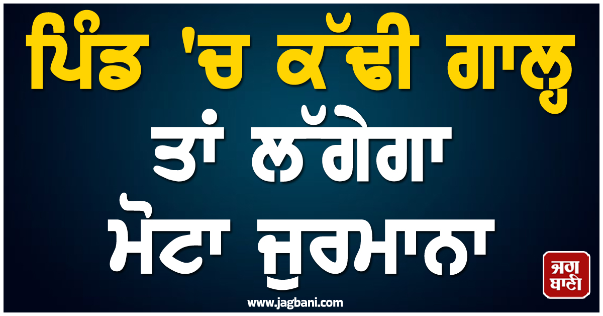 ਪਿੰਡ ''ਚ ਕੱਢੀ ਗਾਲ੍ਹ ਤਾਂ ਲੱਗੇਗਾ ਮੋਟਾ ਜੁਰਮਾਨਾ, ਕੋਲਗਾਂਵ ਨੇ ਕੀਤਾ ਮਤਾ ਪਾਸ