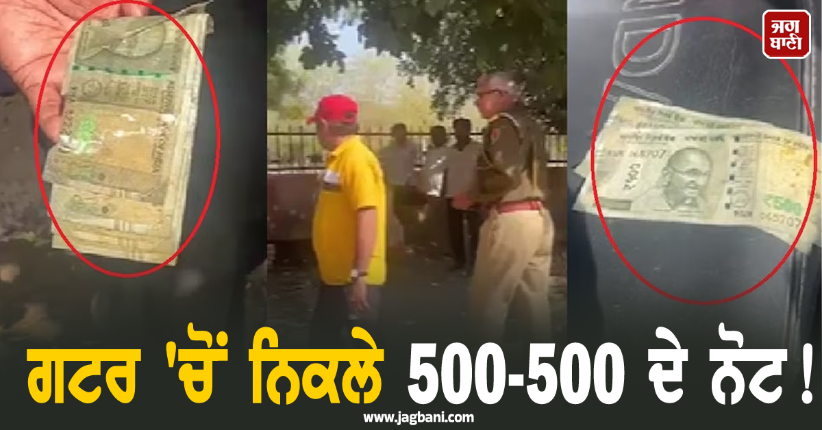ਗਟਰ ''ਚੋਂ ਨਿਕਲੇ 500-500 ਦੇ ਨੋਟ ! ਦੇਖਣ ਪਹੁੰਚੇ ਲੋਕਾਂ ਨੇ ਮਚਾ''ਤੀ ਲੁੱਟ, ਹੱਥ ਪਾ-ਪਾ ਕੇ...
