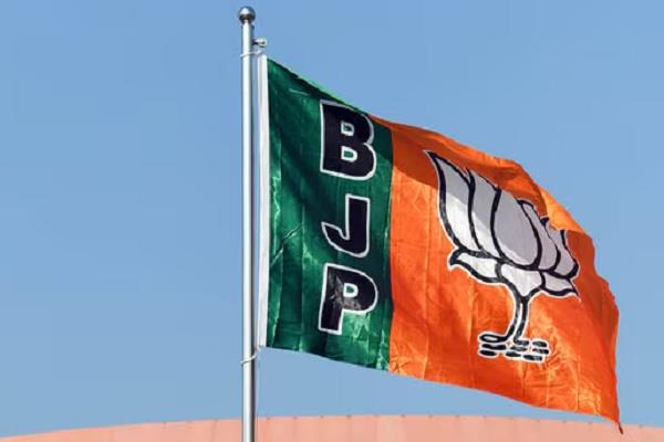 bjp  rajya sabha candidates  list released  rajya sabha elections